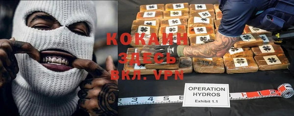 сатива Елабуга