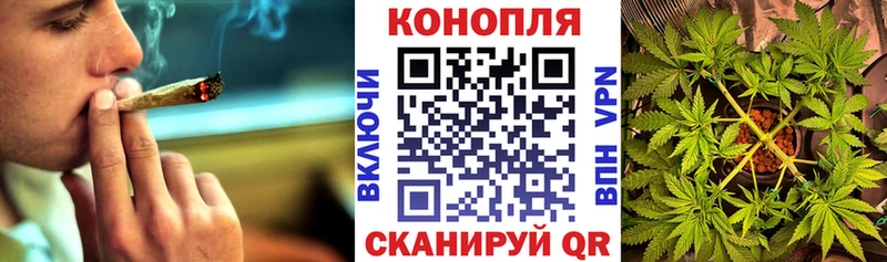 Конопля планчик  хочу   KRAKEN как зайти  Лиски 